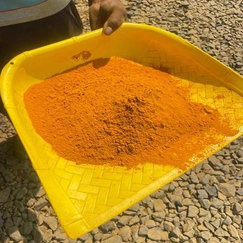 Turmeric Powder and fingers - Spice Nova Exports - India
