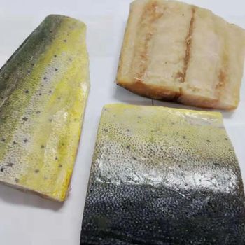 Frozen Mahi Mahi Fish Premium Fillet Cut For Seafood Import Export Wholesale Buyers And Restaurant Sourcing - TOSOH INTERNATIONAL - South Africa