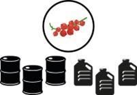 blackcurrant juice concentrate 65 brix - LOOK FOOD RAW MATERIALS - Poland