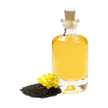 Crude Rapeseed oil Certified Organic 100 % Pure Refined Rapeseed Oil - AMAC GOLD AND DIAMOND METALS SUPPLIER - Germany