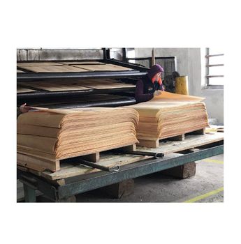 Natural Beech Rotary Cut Veneer Sheets – Furniture Grade Wood Type beech - Exigentelaxia Unipessoal Lda - Portugal