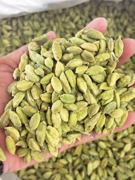 Green cardamom - Kabir Spezie - India