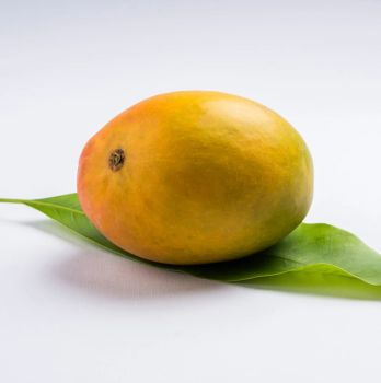 Fresh Alphonso Mango for Export Natural Sweet Flavor Bright Skin Firm Texture Grade Carefully Packed for Long - TRADECENTRIC LLC - United States
