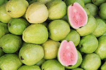 Guavas Packaging 25kg-50kg Color Green Or Yellow Flavor Sweet, Fragrant Shape Round Or Pear-shaped Flesh Color White, Pink, Or Red - Jaishnavi Exports - India