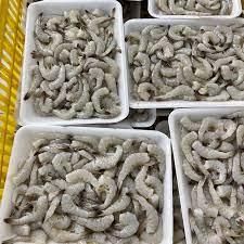 Frozen Seafood like Frozen Shrimps, Crabs, Octopus, Lobster & Fish - MEME GROUP COMPANY LTD - Cameroon
