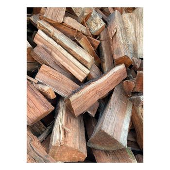 Premium Cherry Wood Logs Wholesale Fast Delivery Stock Transport Means Freight Train Transport Destination Africa, Asia - BMU TRADING GMBH - Germany