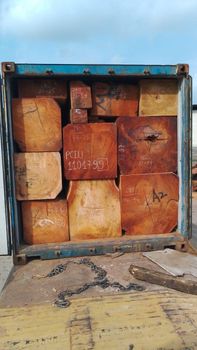 APremium Grade African Hardwood Packaging Logs Origin Nigeria Certification CITIES Quality Premium Grade Place of Origin - MACHEAVELLI LOGISTICS SERVICE LIMITED - Nigeria