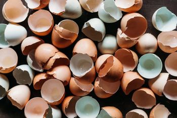 Han egg shell powder - Mujtaba Xtruction - Pakistan
