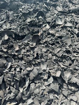 Coconut Charcoal Color Black Moisture ≤ 10%% Features Organic Ash Content ≤ 3%% Fixed Carbon ≥ 75%% Delivery Form Other Volatile Matter ≤ 14%% - PT SINO ARGENT TRADING - Indonesia