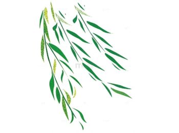 Product - Linyi Furuisheng Arts and Crafts Co., Ltd - China