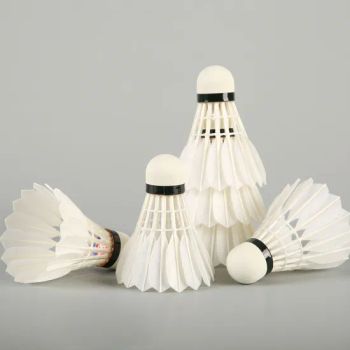 Training Badminton Shuttlecock 60 Model - Anhui Lingmei Sporting Goods Co., Ltd. - China