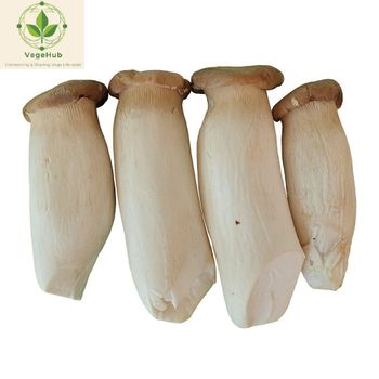 Vietnamese organic fresh king oyster mushroom Size Large Origin Viet Nam Packaging Iqf 12kg/carton Certificate Organic - Như Khuê Lotus Kitchen - Vietnam