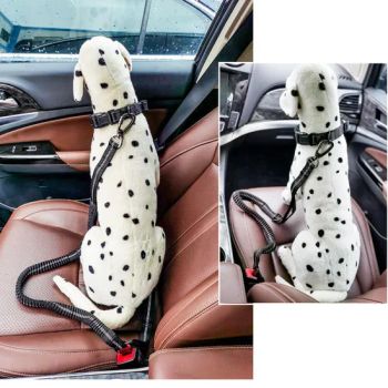Pet Supplies Car Seat Belt Dog Seat Belt Dog Leash Vehicle Belt Adjustable Cushioning Elastic Reflective Safety Rope for Dog Cat - Bonzer Pet Co., Ltd. - China