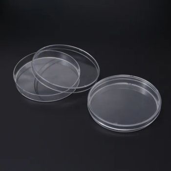Disposable 70mm, 90mm Dideep Parafilm M Plastic Polystyrene Sterile PS Tc Treated 100mm Petri Di Cell Culture Dish with CE - Jiangsu HXRT MD Co., Ltd. - China