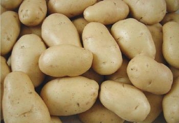New Best International High Quality Organic Yellow Fresh Potatoes Natural Farm Grown Bulk Wholesale for Export Restaurants - Jiangsu Dongfang Liming International Trade Co.,Ltd - China