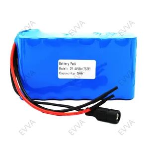 Evva 18650 7s2p 29.4V 5ah Rechargeable Protected High Power and Energy Lithium Ion Battery Pack for Medical Equipment - EVVA TECHNOLOGY CO., LIMITED - China