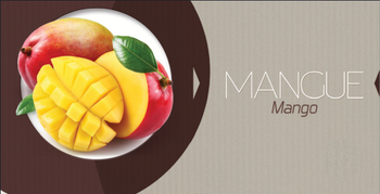 Mango Puree from ART LOG MAROC Mango Puree - ART LOG MAROC - France