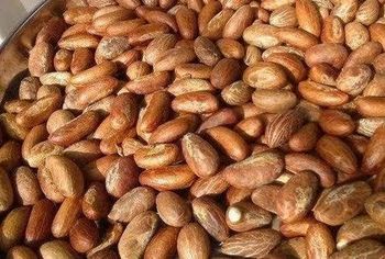 Bitter kola - Barich inverse enterprises - Nigeria