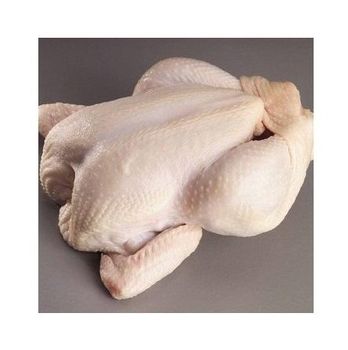 High Quality Wholesale Cheap Price Frozen IQF / BQF Whole Chicken For Sale - N.G westen holding B.V - Netherlands