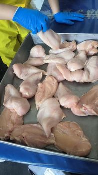 Frozen chicken breast Origin China Shelf Life 12 Months Moisture Content 3%-8% Certification HALAL,CO,Veterinary(Healthy) - Silveranch Group Limited - China