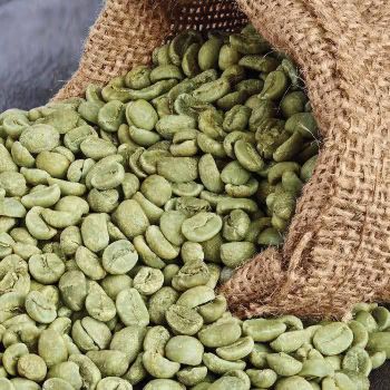 Green coffee Beans Bean Type Robusta - Takama - Kenya