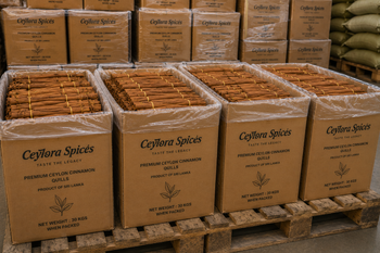 Premium Ceylon Cinnamon Quills (True Cinnamon) - Ceylora Spices - Sri Lanka