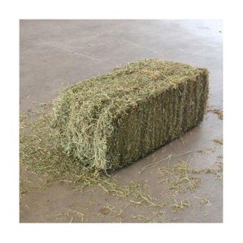 Quality alfalfa hay bays / Alfafa pellets / Dehydrated Alfalfa cubes timothy hay Cheap Top Quality Alfafa Hay for Animal Feeding Stuff Alfalfa ,hay/Timothy hay - MFD AGRICULTURE LTD - United Kingdom