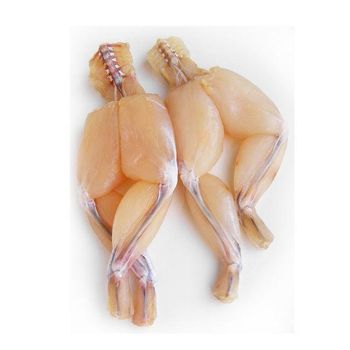 Best Selling Wholesales Frozen Frog Leg Shelf Life 2 YEARS Place of Origin -  DAEWKAEW PANTAMANG Co., Ltd - Thailand