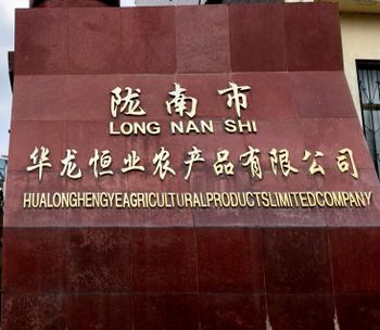 Product - Longnan Hualong Hengye Agricultural Products Co., Ltd. - China