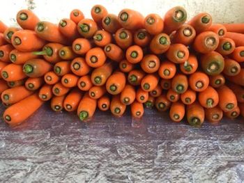 Fresh Egyptian Carrots Sweet & Crunchy | Grade A Export Color Bright Orange Average Size 12–18 Cm Average Weight 60–80 - agrovalleyco - Egypt