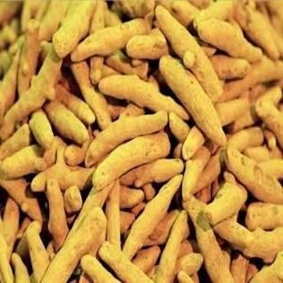 Turmeric Finger (Nizamabad, Salem, Rajapuri) from REVDIX EXIM LLP Turmeric Finger (Nizamabad, Salem, Rajapuri) - REVDIX EXIM LLP - India