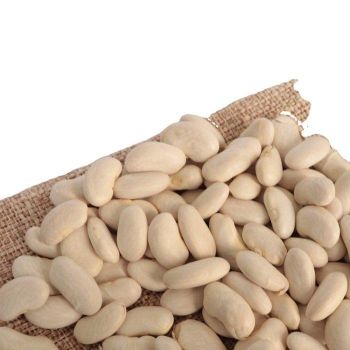 100% Organic Dry White Kidney Beans 10kg Large Size Raw Style Fast Delivery Best Price 24 Months Shelf Life - Carla Pisselli Commercio - Brazil