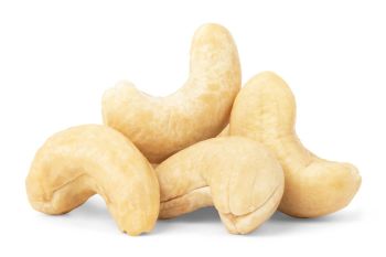 Wholesale Supplier Cashew Nuts For Sale In Cheap Price Origin USA Organic Yes Form Ground Degree of Processing Natural - AGRONOVA - United States