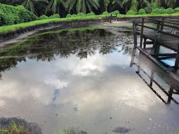 Palm Acid Oil - PT Fatih Bersaudara Indoekspor - Indonesia