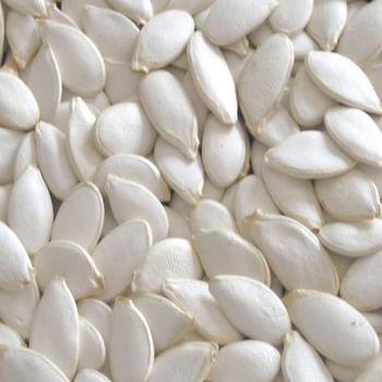 Snow White Pumpkin Seeds Admixture 0.2% Max Size 11 Cm And 13 Cm Packaging 50 KG BAGS Imperfect Seeds 3% Max Moisture Content 8% Max - AGRO AFRIQUE COMPANY LIMITED - Tanzania