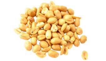 Peanut kernel blanched Origin Uzbekistan Texture Roasted, Salted, Blanched - SULTAN AGRO IMPEKS - Uzbekistan