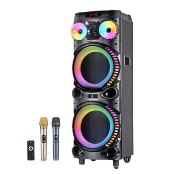 Wholesale Stocks High Output Dual 12 Inch 120W Loudspeaker Party Speaker Wireless Portable Microphone - Guangzhou Haoshidai Electric Appliance Co., Ltd. - China
