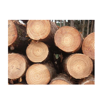 Wholesale Price Pine Wood Logs For Timber For Sale Transport Destination Worldwide - Exigentelaxia Unipessoal Lda - Portugal