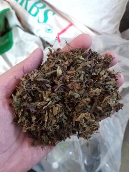 Dried Krishna Tulsi Leaf TBC Grade FOOD Color GREEN Digestion Aid Yes Packaging HDPE BAGS Shelf Life 24 MONTHS Max. Moisture (%) 8% - ADEPT IMPEX PVT LTD - India