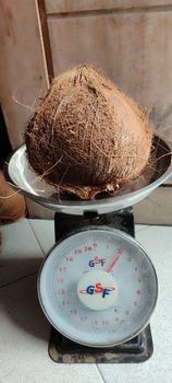 Semi-husked Coconut – product photo, Fresh Semi-Husked Coconut products found from trusted suppliers, wholesalers, manufacturers & exporters Listing