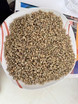 Arabica Coffee beans griculture, Food & Beverage Processing Method Washed And Unwashed Origin Nekemte, Limmu, Djimma, Yirgachefe, Sidamo And Guji G1 - - BCS COFFEE MARKET CONSULTING  - Ethiopia