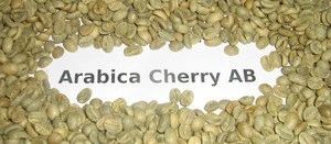 Arabica - PRIME FIELD AGRICULTURE LIMITED - United States