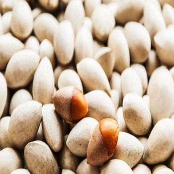 Premium Whole Ginkgo Nuts for Soups & Cooking Bulk Cheap Pricing Wholesale Deals - A.C.P. AGRICULTURE COMPANY LIMITED - Thailand