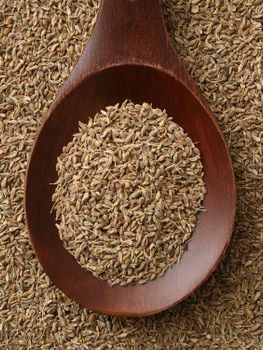 Aniseed - Mawasem - Egypt