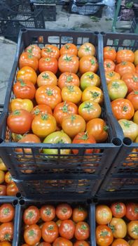 Fresh vegetables and fruits from Thimaralalam Fresh vegetables and fruits - Thimaralalam - Jordan