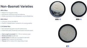 IRRI Rice - iSource Global Trading - United States