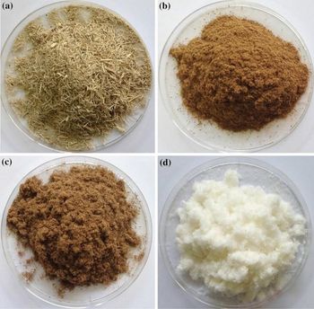 Natural Sugarcane Bagasse Powder Manufacturer Piyada Brand Name Piyada Delta Place of Origin - Thai Agri Company - Thailand
