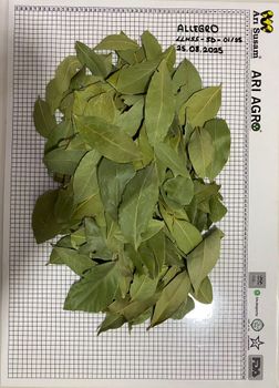 Bay Leaves Packaging In Bales Selection Level Semi Selected - ARI SUSAM AS  - Turkey