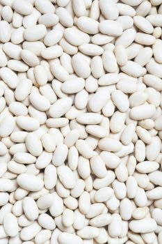 White kidney Beans Origin Egypt Packing Material Pp Packing Bag Weight 25-50 Kg Per Bag Storage Condition Dry Store Calibre 180-200 / 200-220 Seed In 100 - Orchardtrade LLC - Egypt