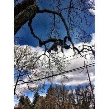 Product - Hollar Tree Company - United States